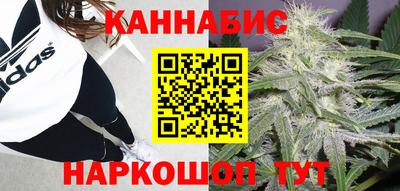 эйфоретик Малгобек