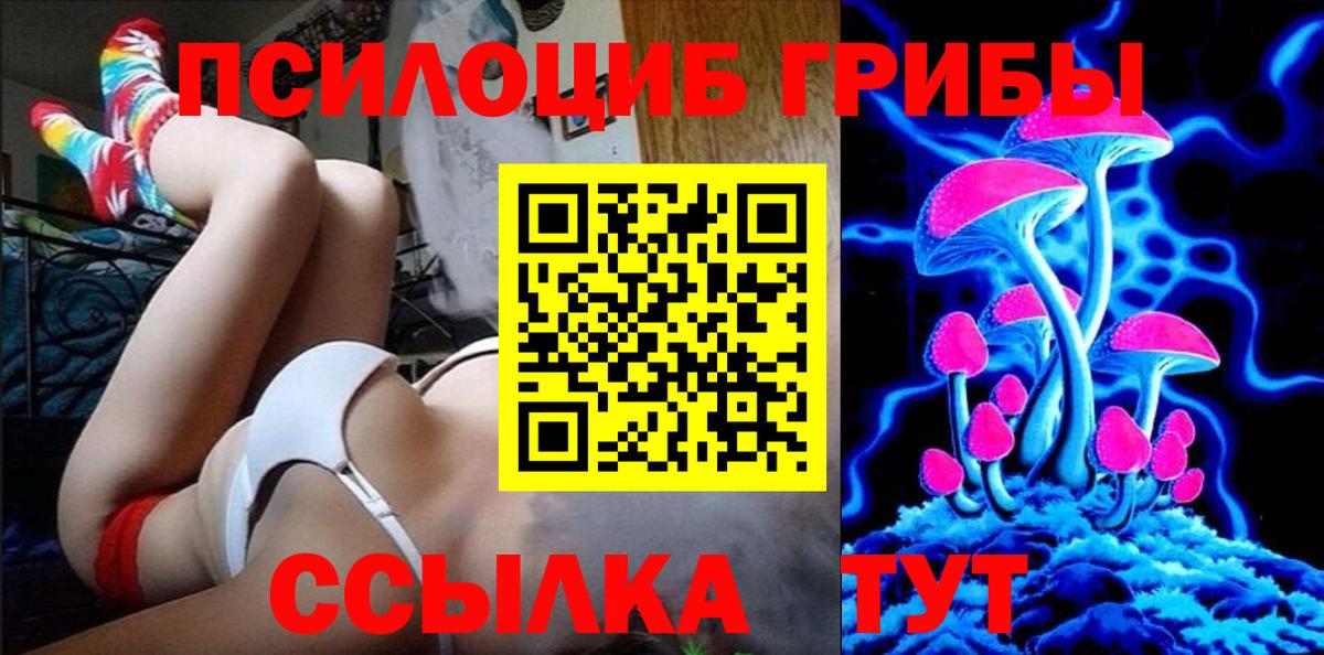 Грязи  что такое наркотик  Псилоцибиновые грибы Psilocybine cubensis  Вход с VPN  Псилоцибиновые грибы мицелий 